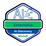 AI Externship